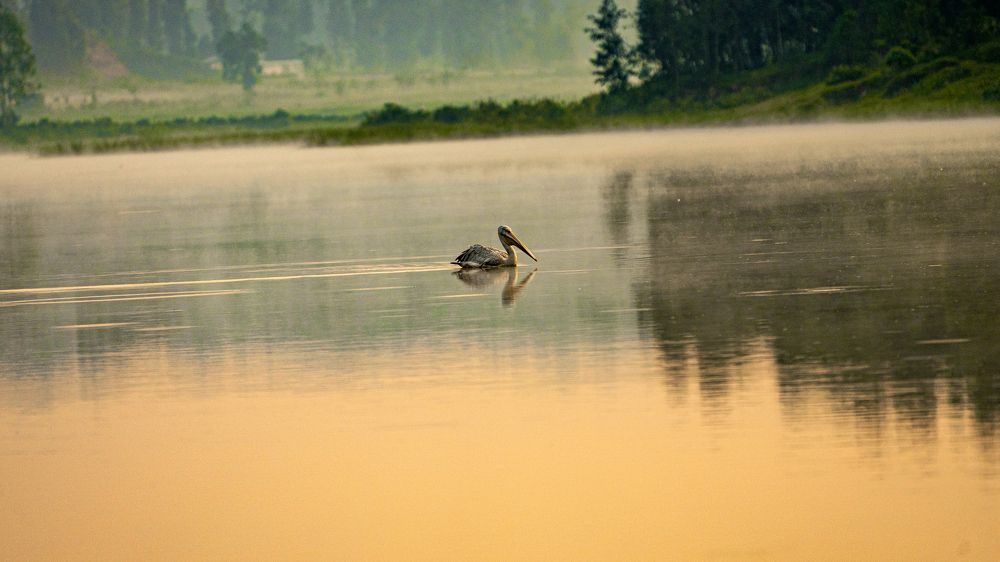 Photograph by Jean Claude Akarikumutima