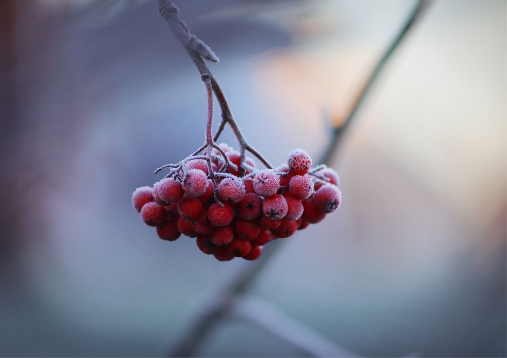 Фотография автора Julija Hisova