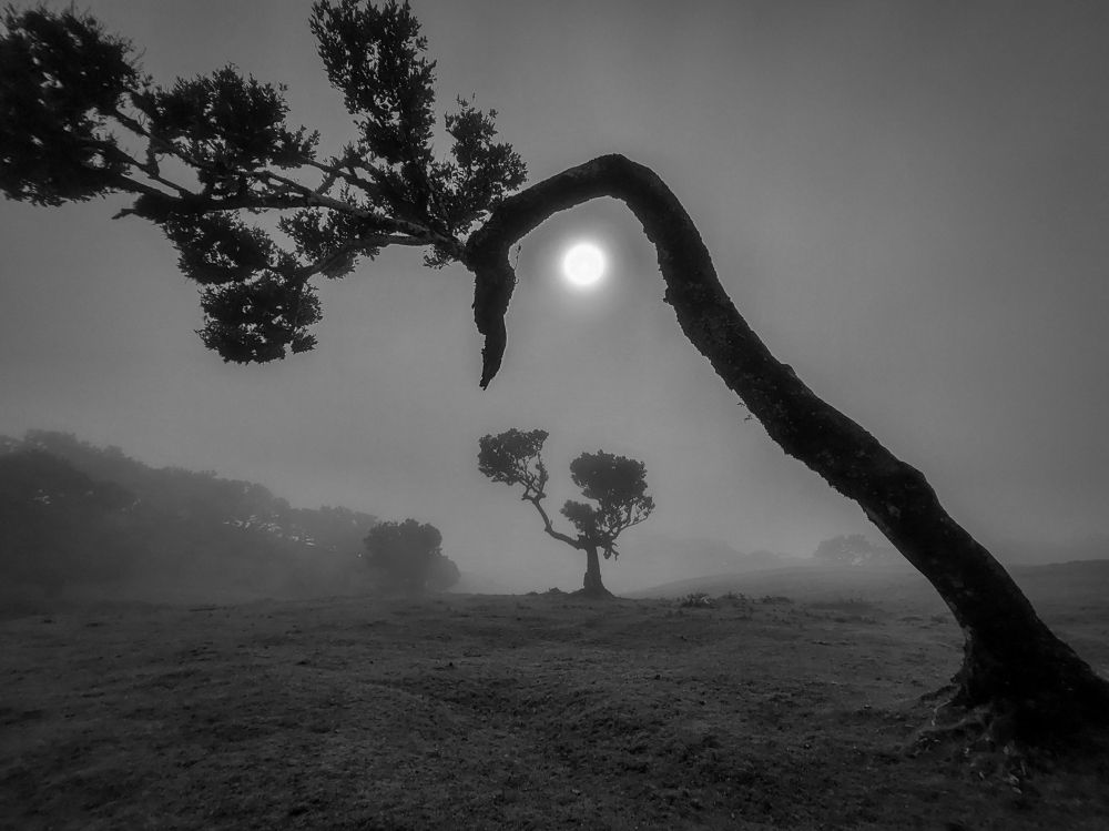 Photograph by Olena Pfister