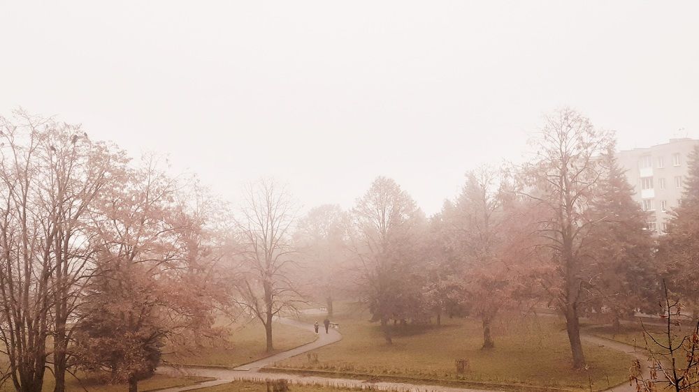 Photograph by Анри