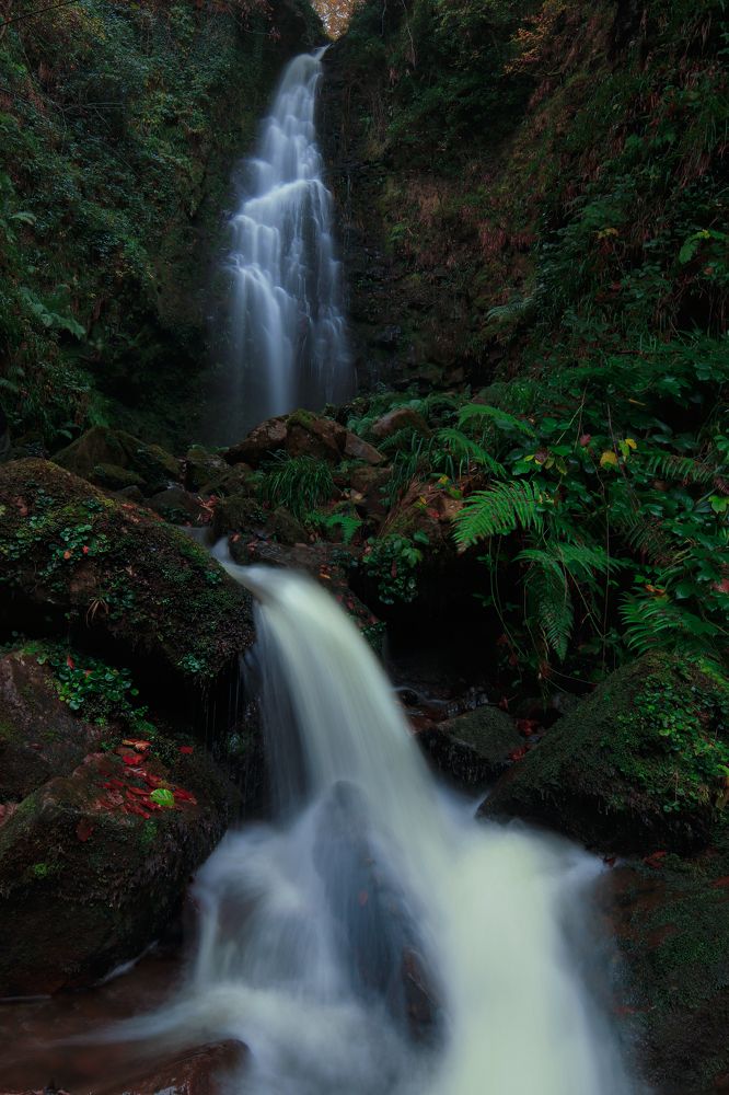 Photograph by Torres