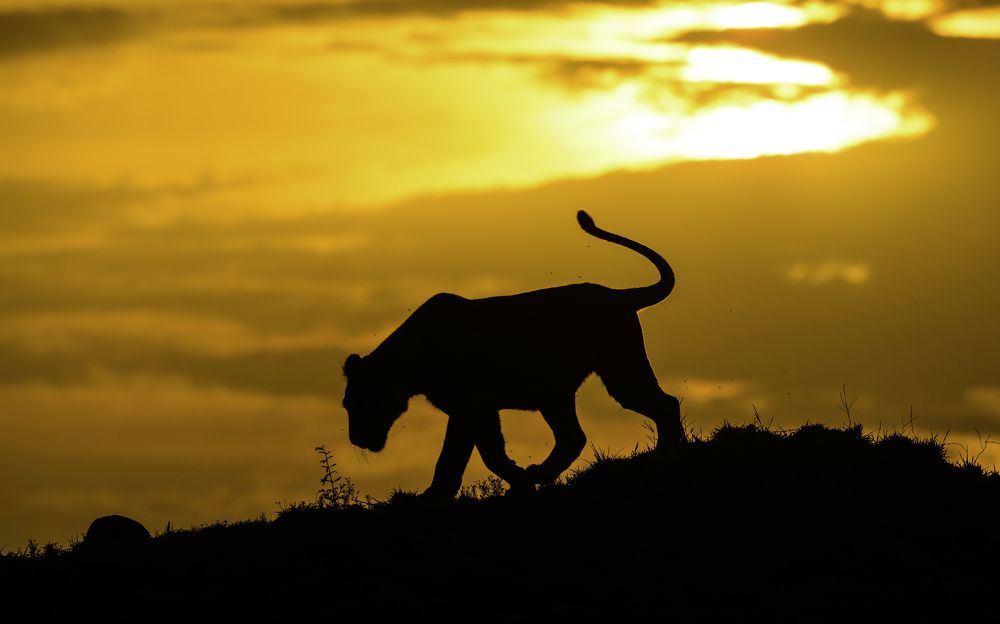 Photograph by Vignesh Ramachandran