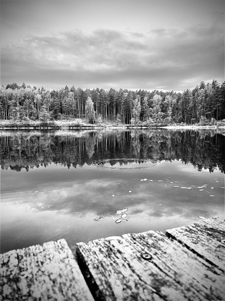 Photograph by Laura Simanaviciute