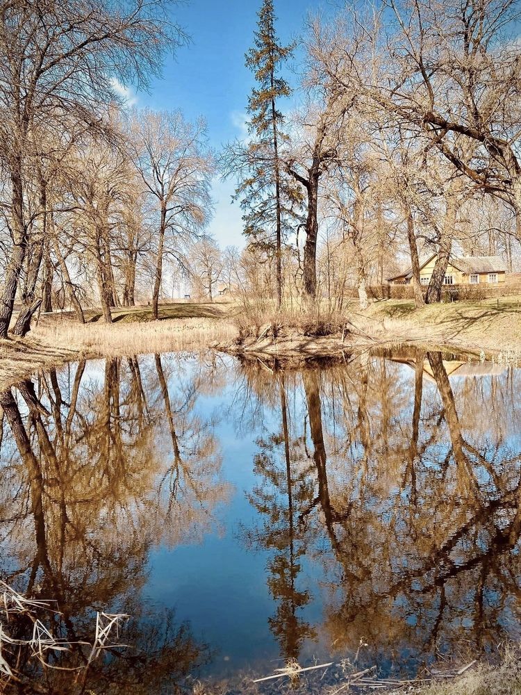 Photograph by Laura Simanaviciute