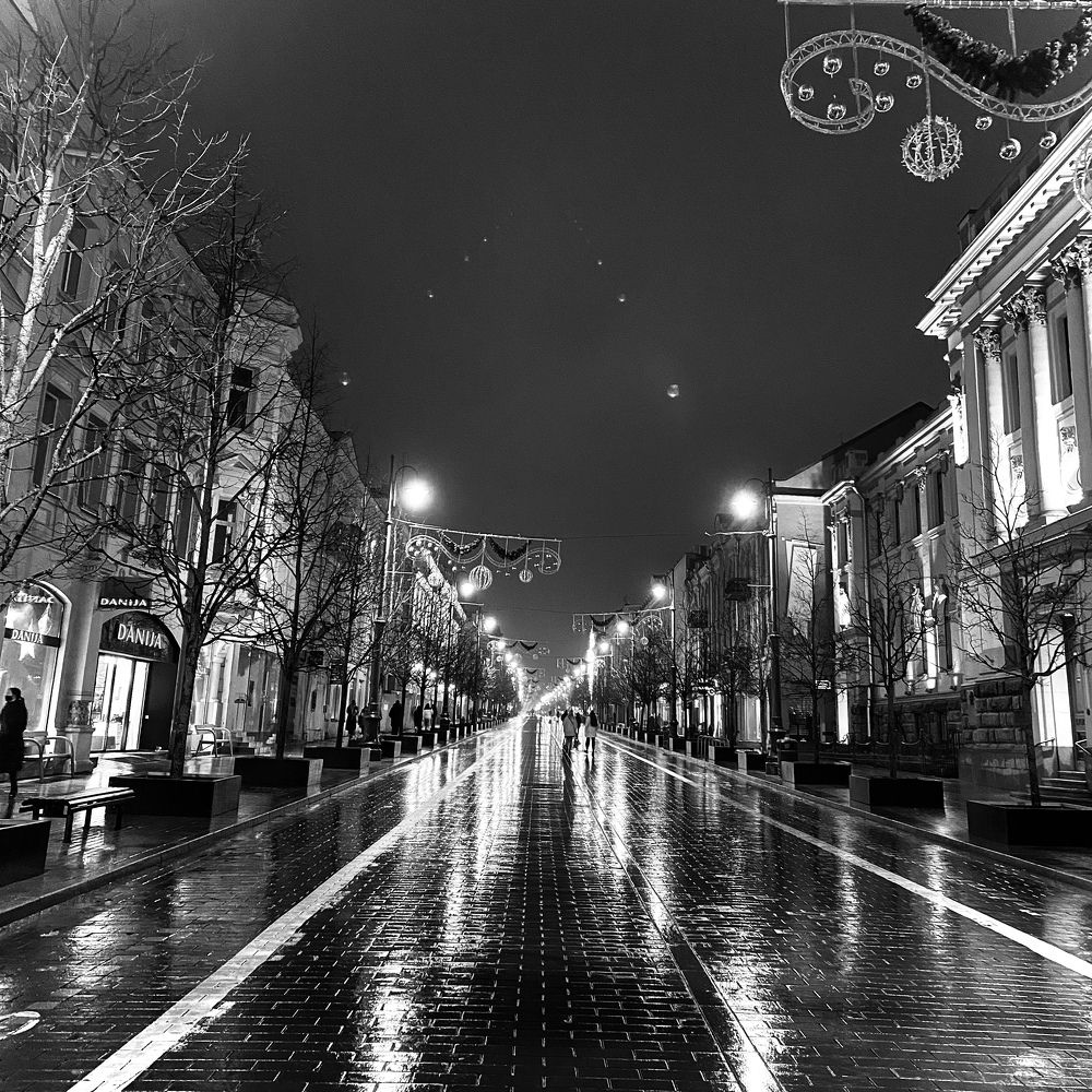 Photograph by Laura Simanaviciute