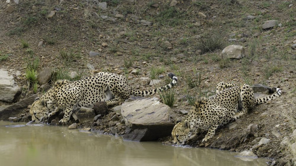 Photograph by Vignesh Ramachandran