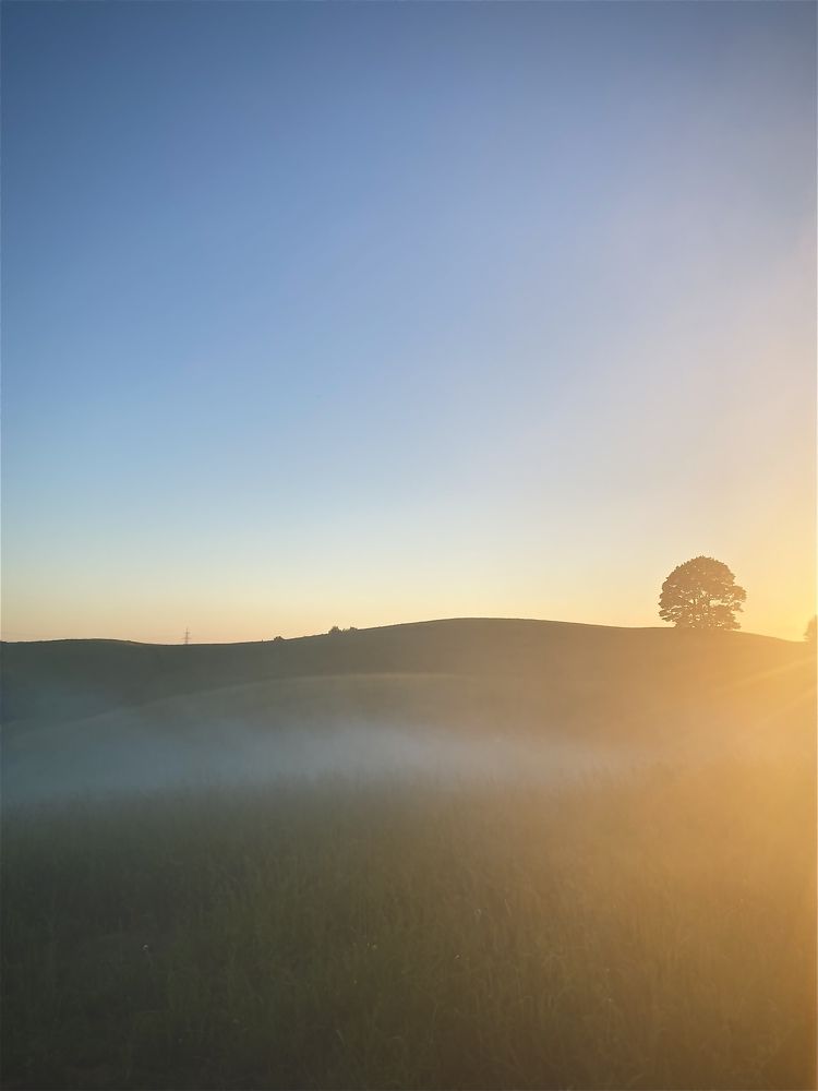 Photograph by Laura Simanaviciute