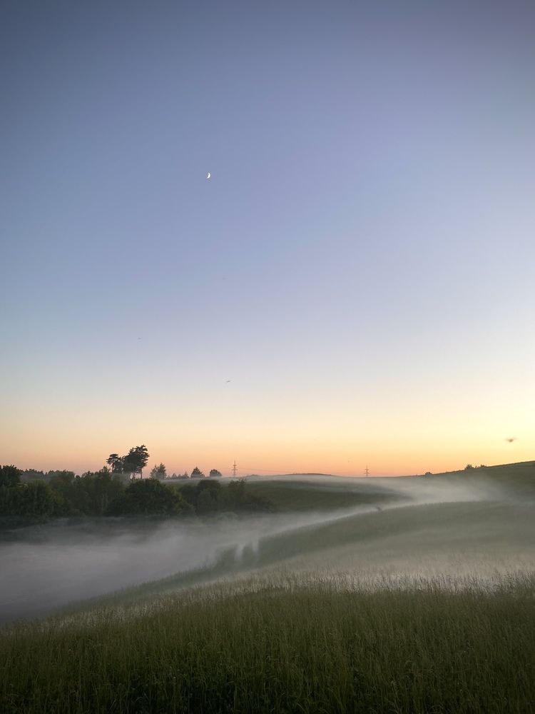 Photograph by Laura Simanaviciute