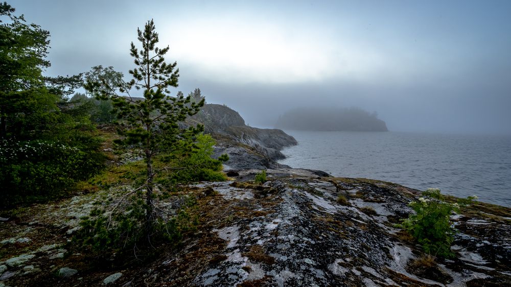 Фотография автора Андрей Васильев