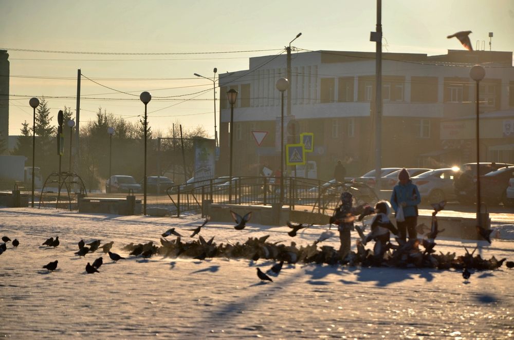 Photograph by Алексей Петров