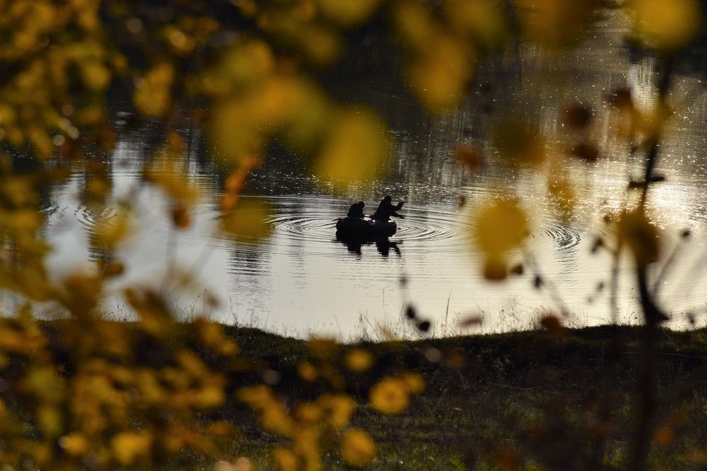 Photograph by Лариса Стрекулева