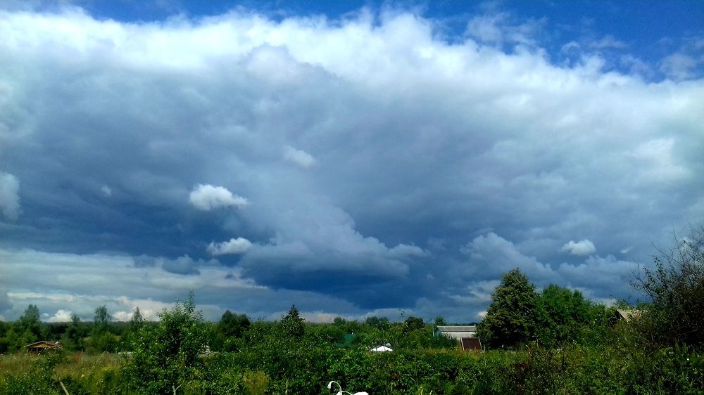 Photo #6854100