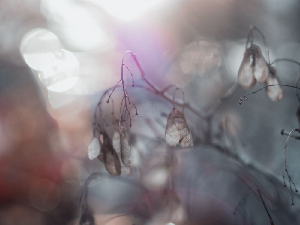 Photograph by Анна Катанова