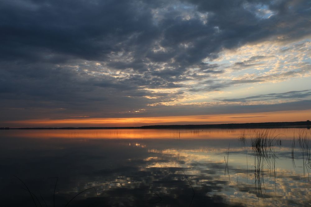 Photograph by Софья