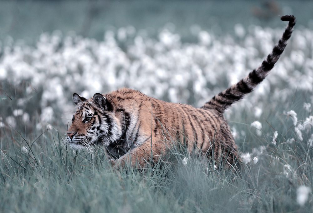 Фотография автора Edita Šidélková