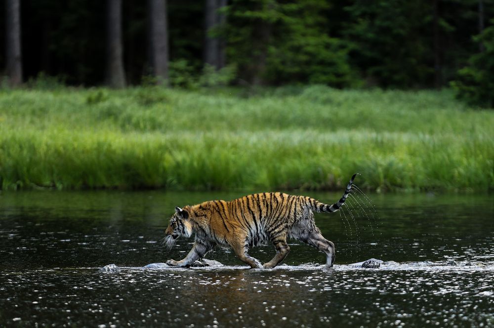 Фотография автора Edita Šidélková