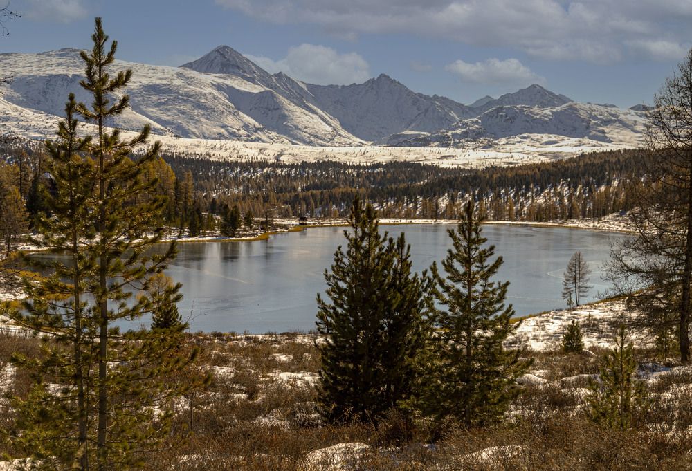 По берегам замерзающих рек