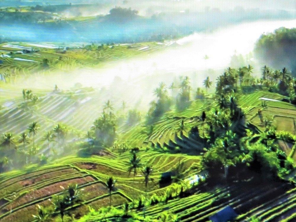 Photograph by Галина