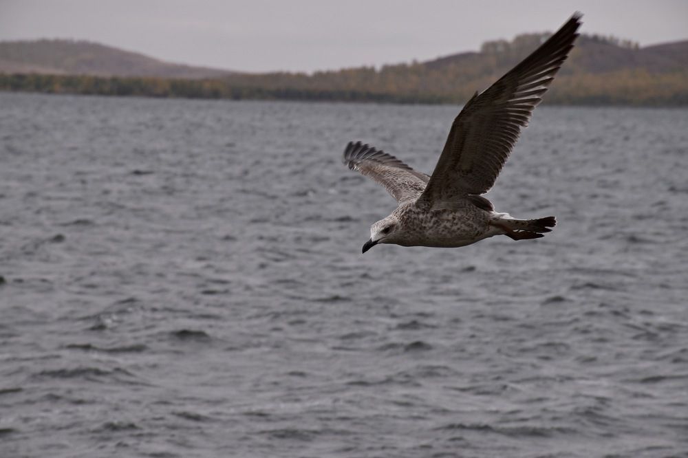 Photograph by Сошенко Эллина