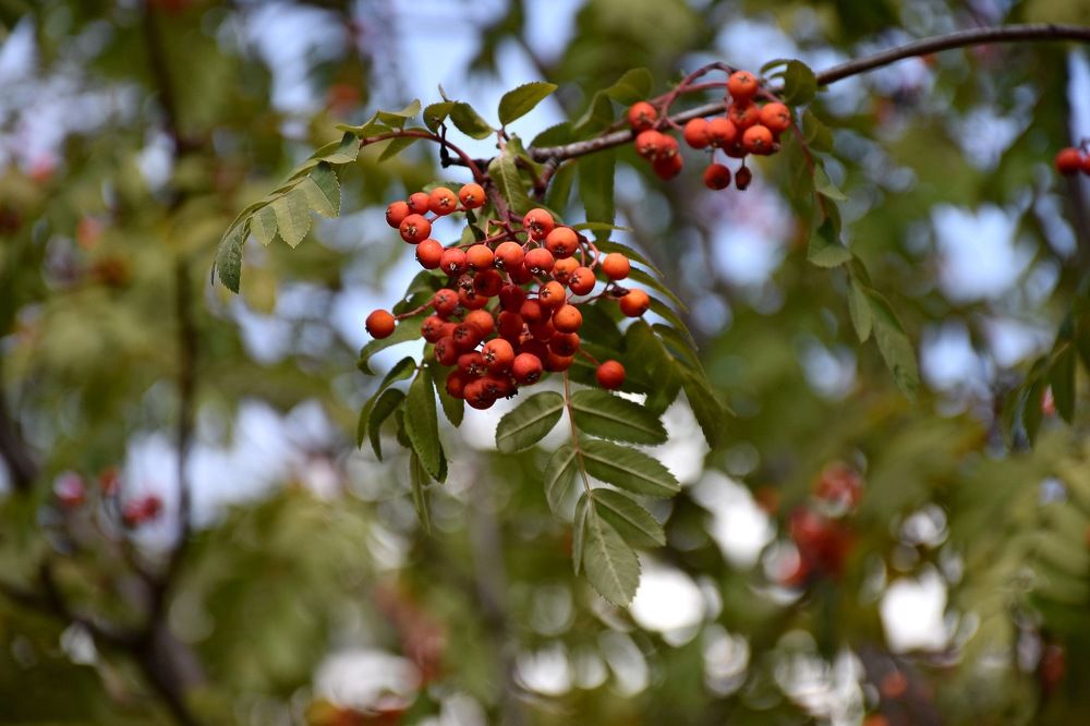 Photograph by Сошенко Эллина