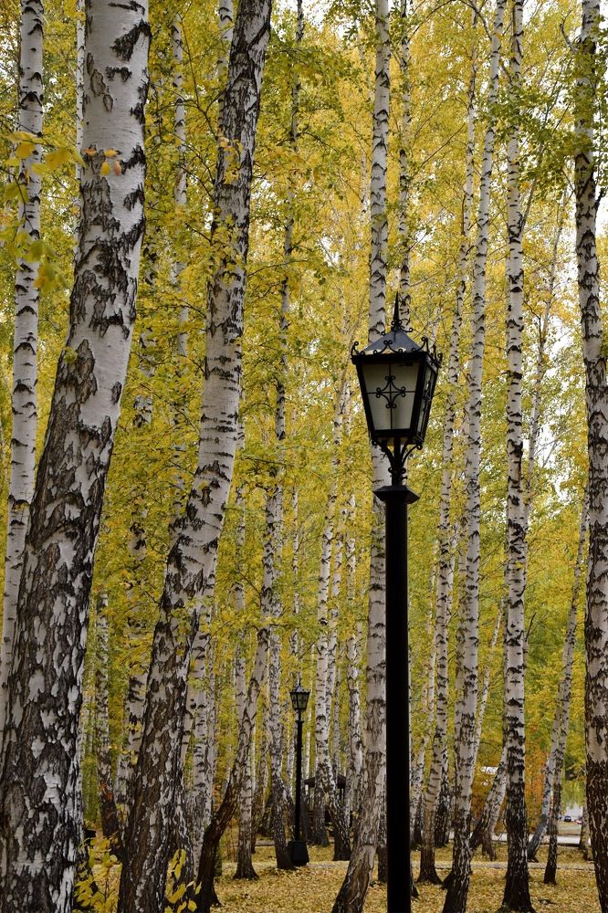 Photograph by Сошенко Эллина