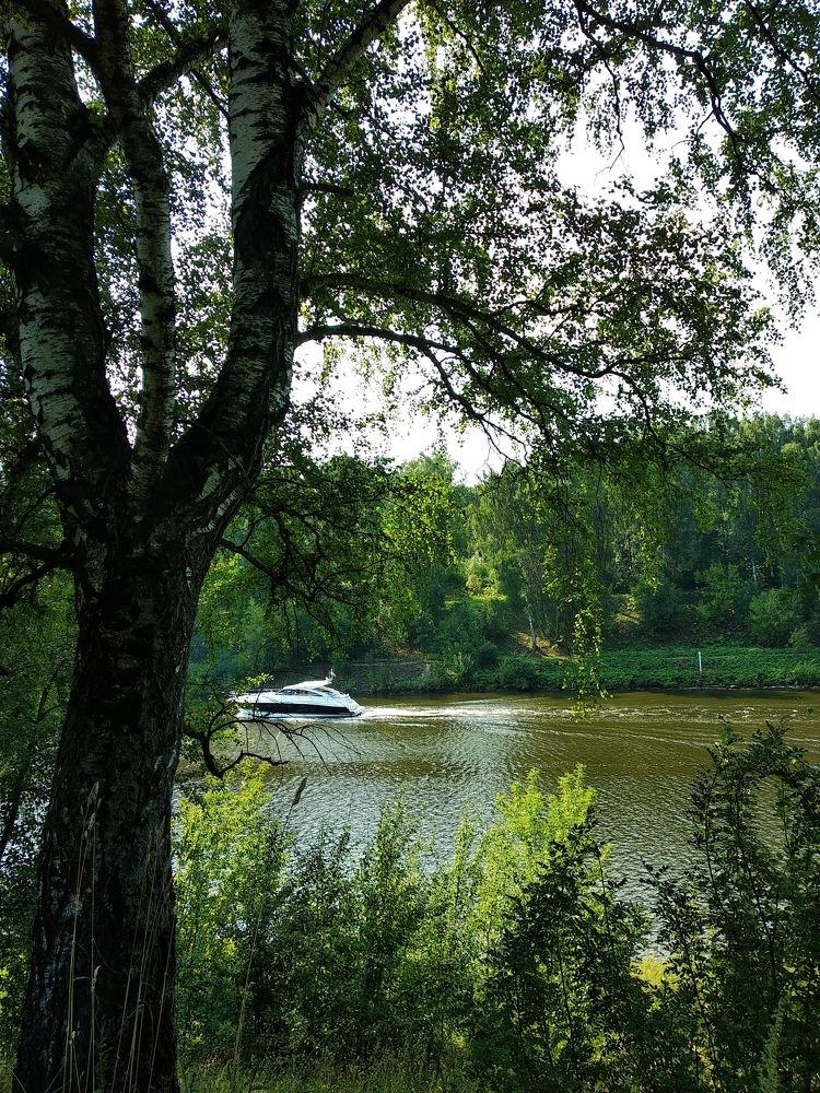 Почти тишина.