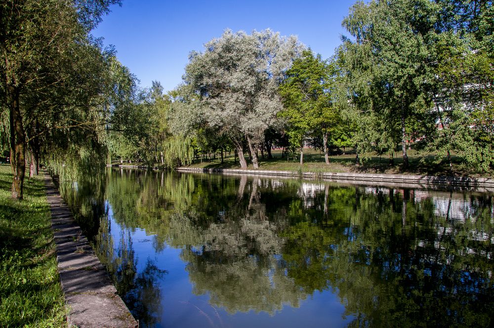 В поиске отражений - 4