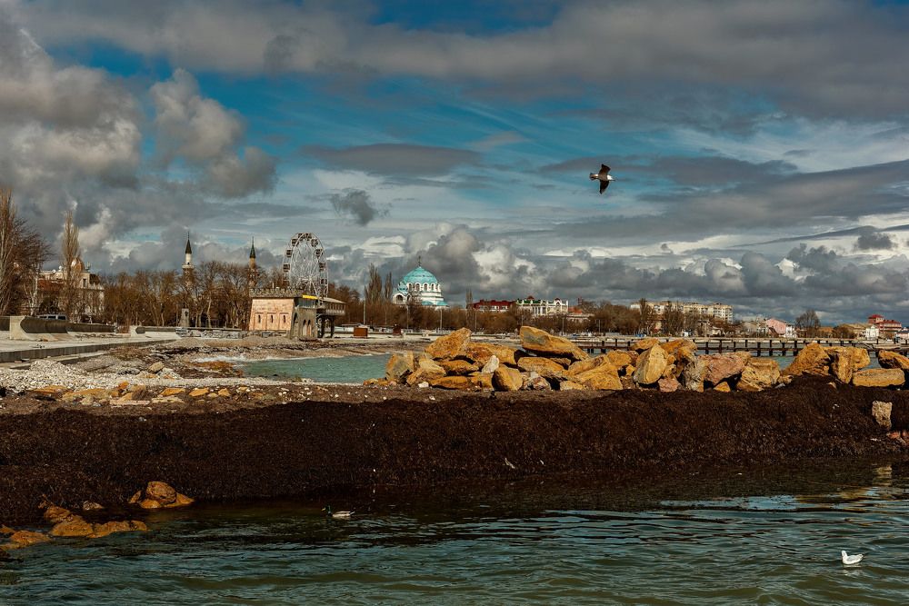 Photograph by Владимир Гамаюнов