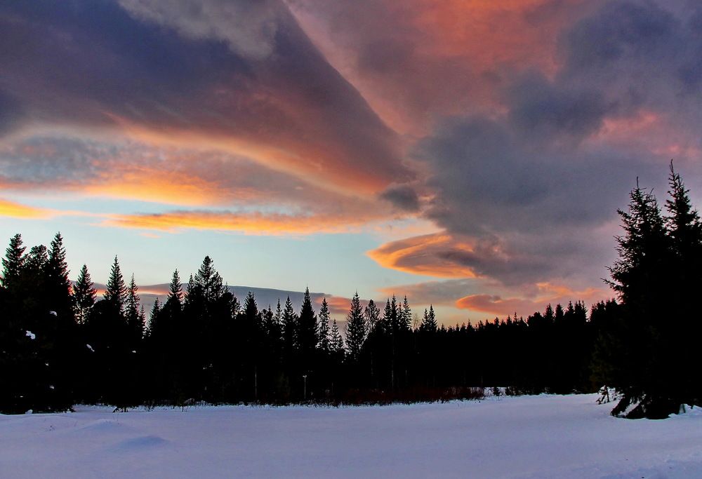 Photograph by Sergei Petrov