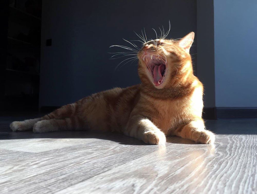 Photograph by Татьяна Моисеева