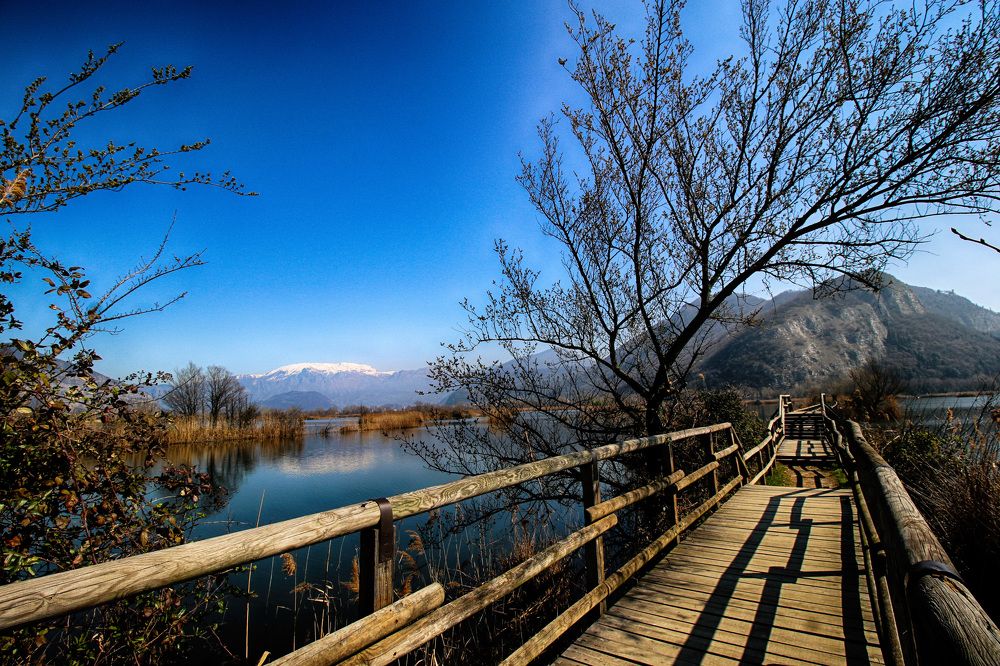 The bridge over the peat bogs