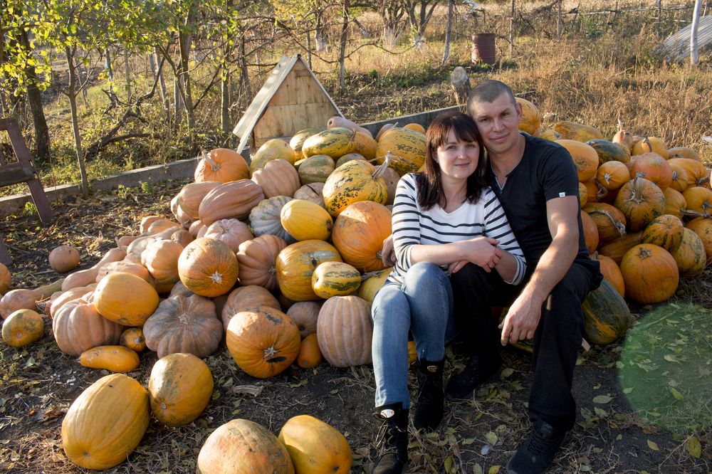 ТЫКВЫ ТЕПЕРЬ СОБИРАЕМ ВМЕСТЕ