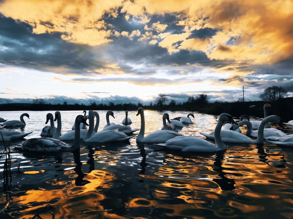 Photograph by Инна Макарчук