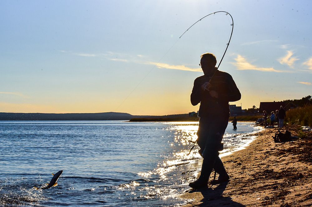 Photograph by Елизавета Чеснокова