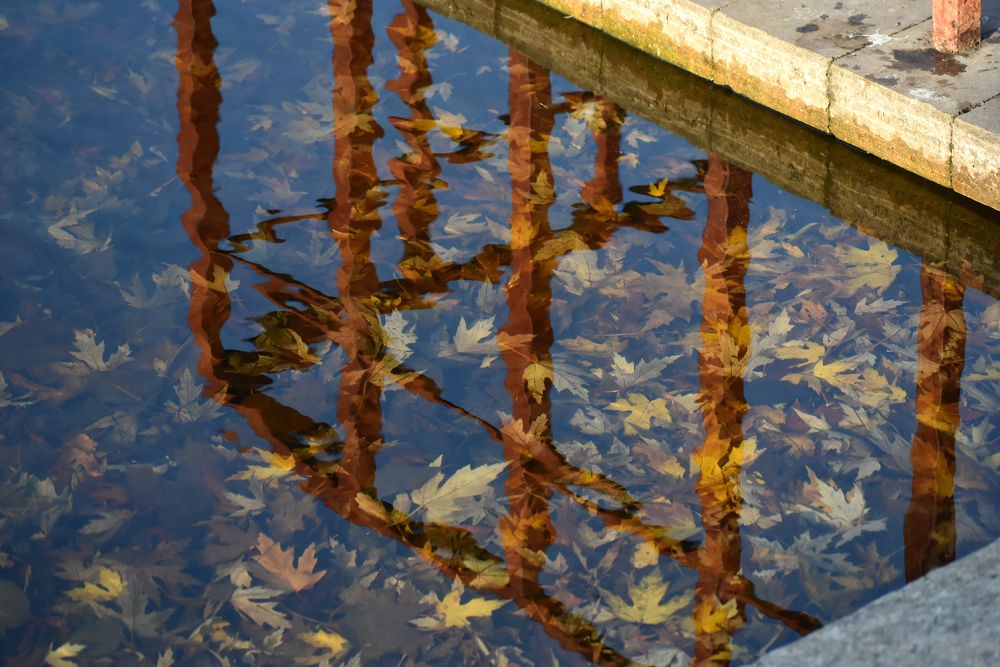 Photograph by Владимир Воложинский