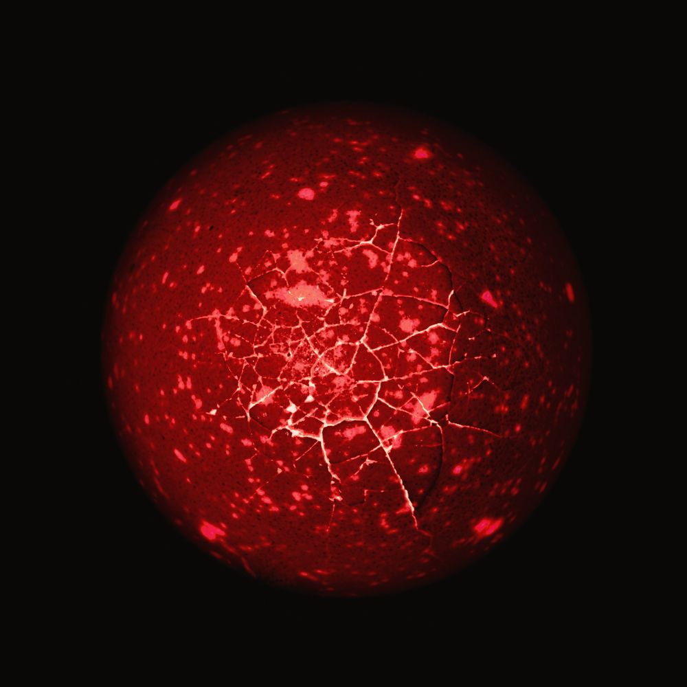 Photograph by Сергей Биденко