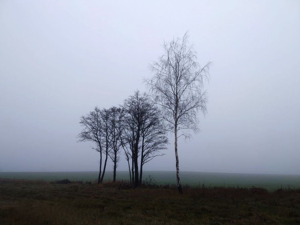 Photograph by Владимир Воложинский