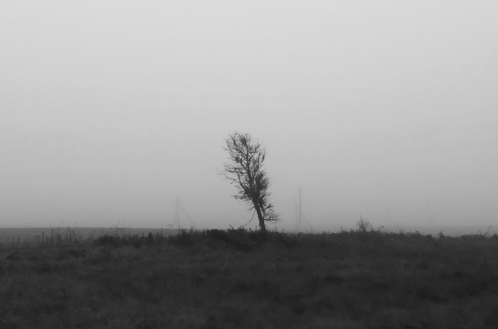 Photograph by Владимир Воложинский