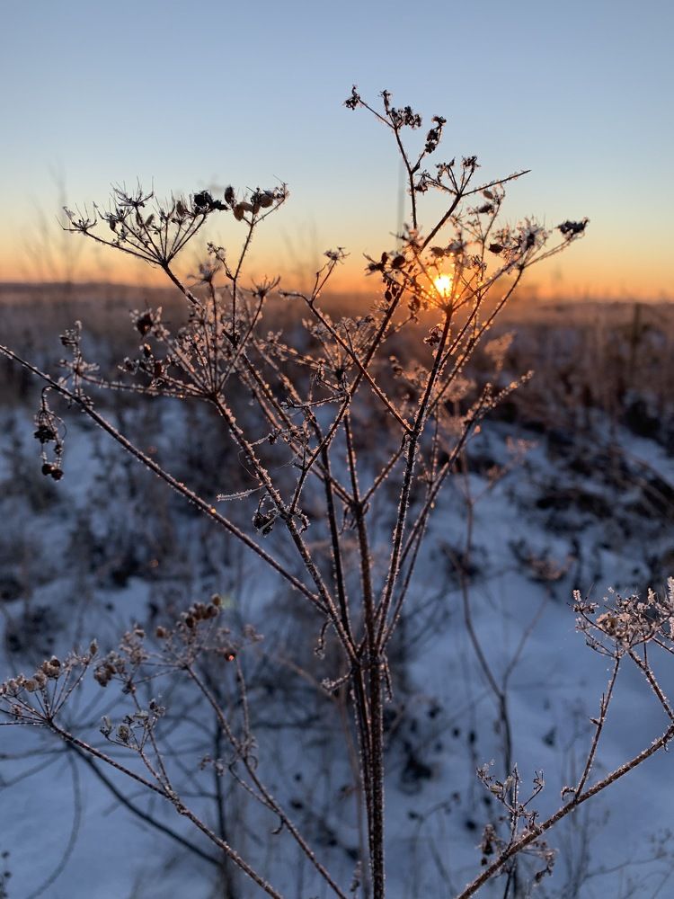 Photograph by Светлана Пономаренко