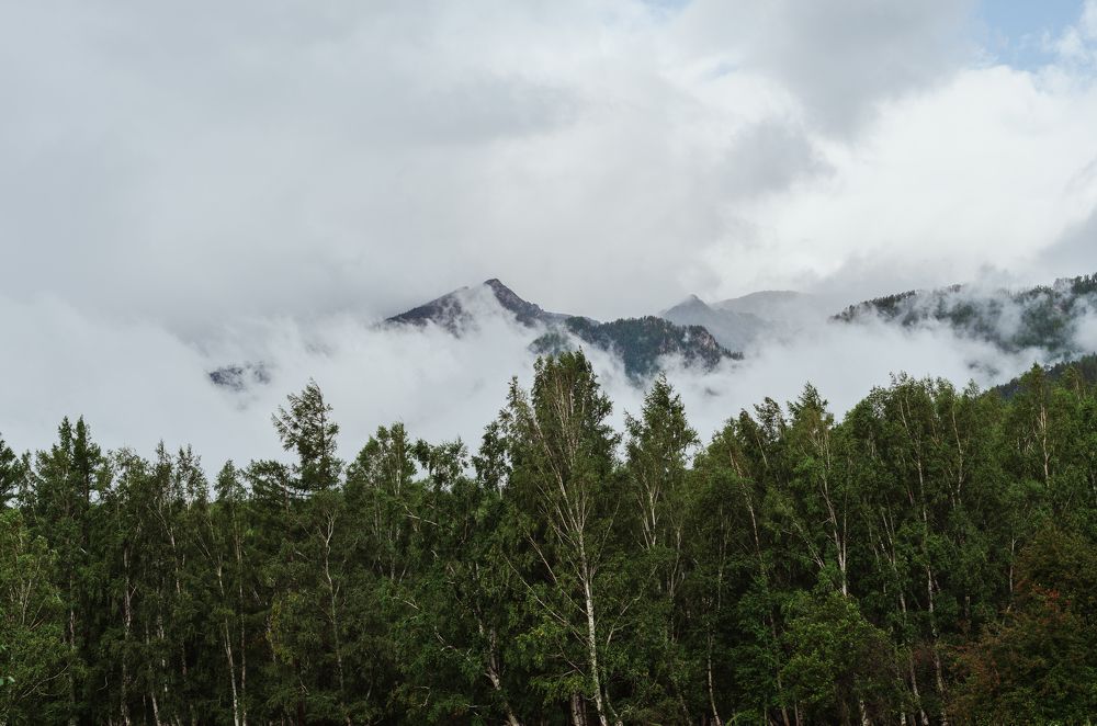 Photograph by Дмитрий Долгих