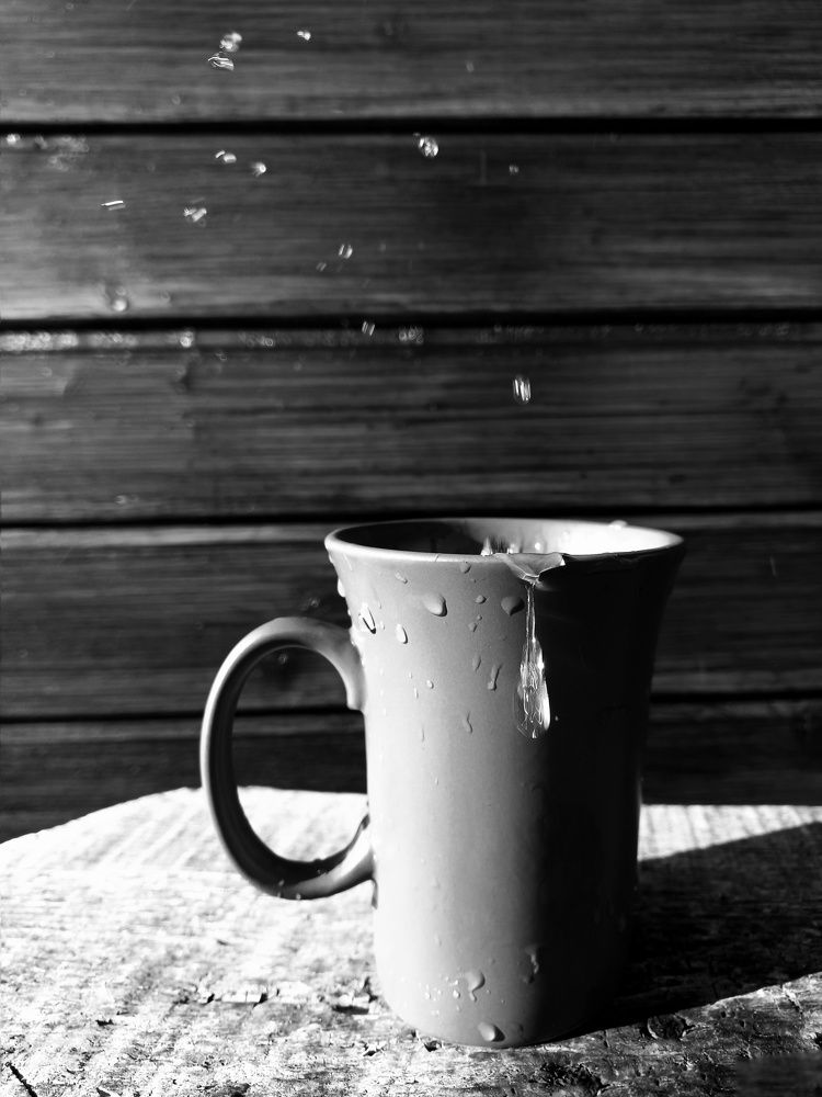 Photograph by Зоя