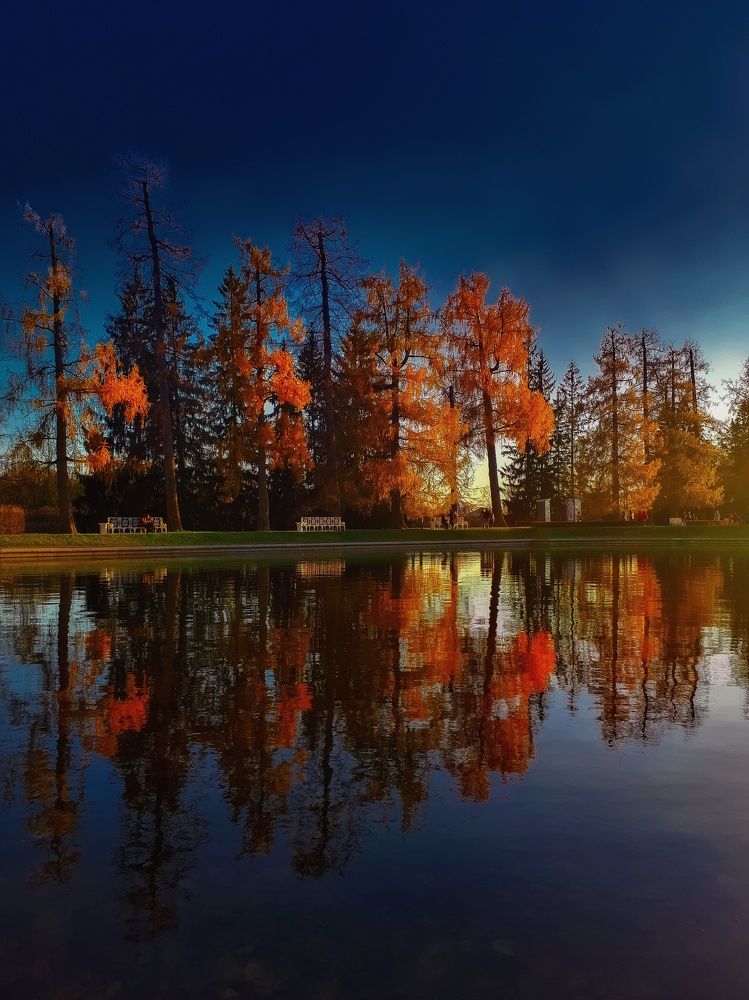 Photograph by Дарья Вега