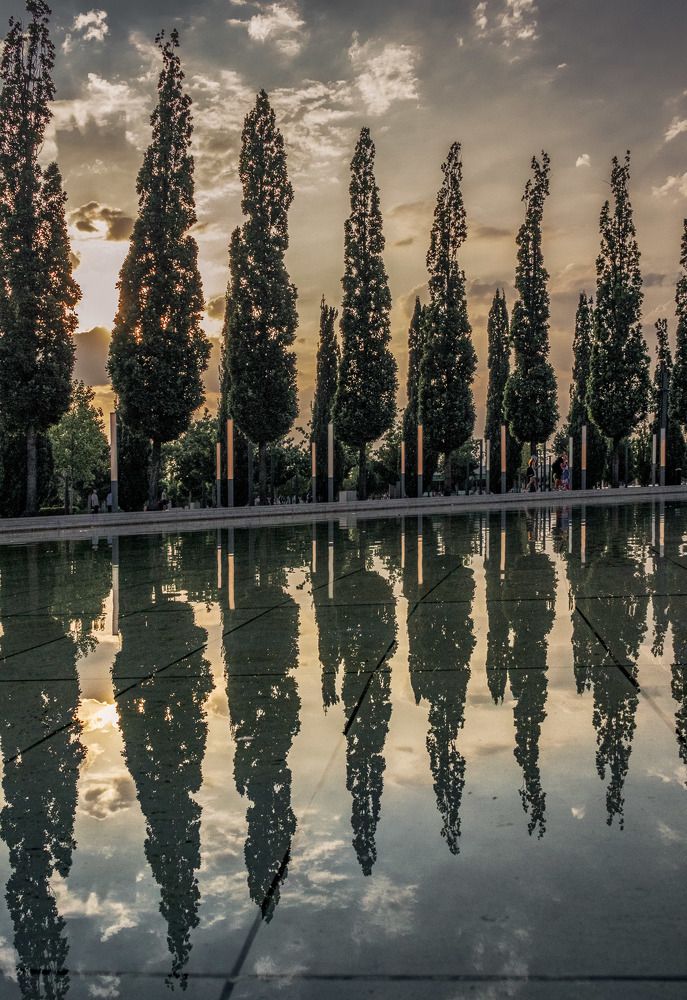 Photograph by Екатерина Милешкина