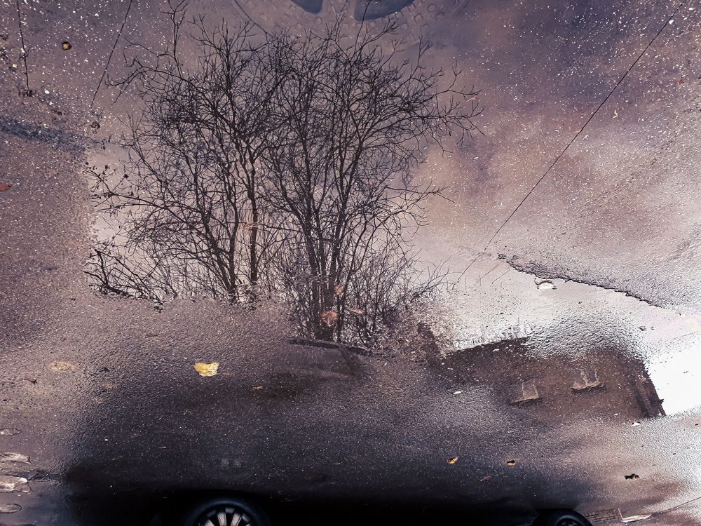 Photograph by Дарья Вега