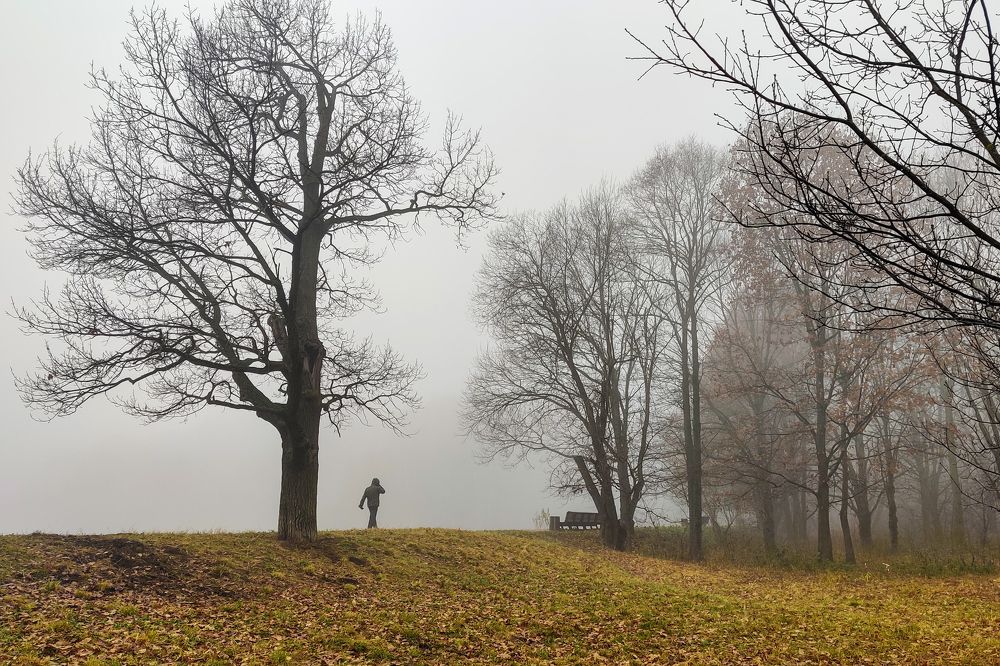 Photograph by Ольга Тюрина