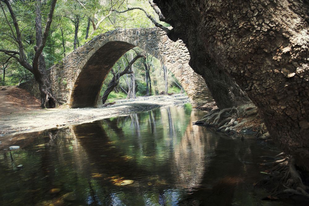 Photograph by Irina Grigoryeva