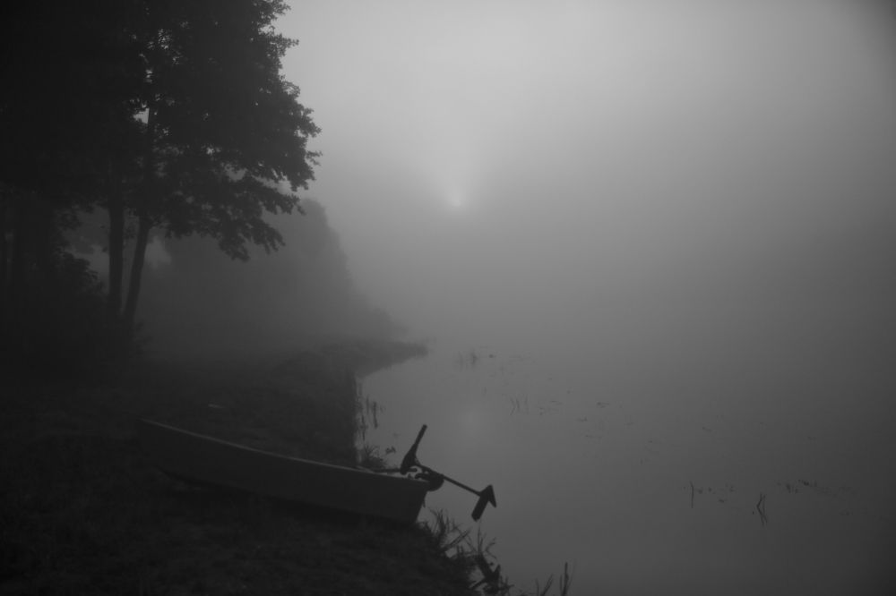 Фотография автора Наталья Васько -Черданцева