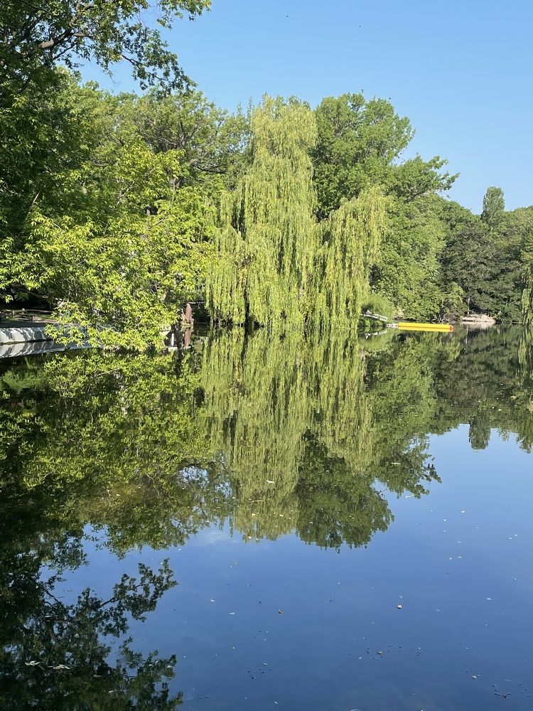 Photograph by Лариса Делия