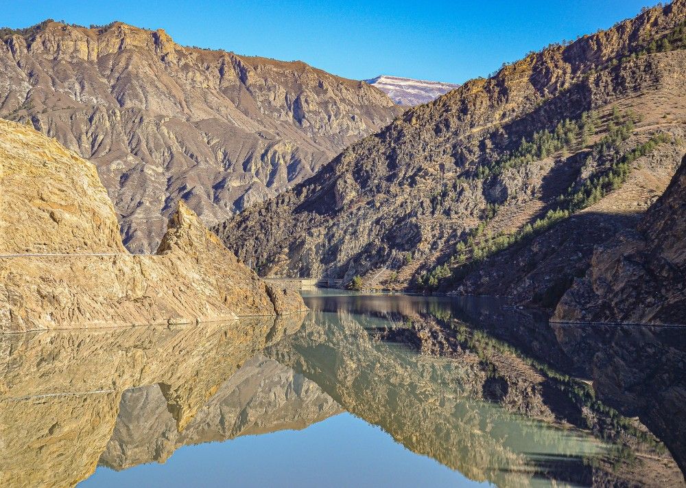 Зуб дракона