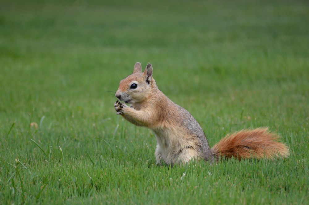 Photograph by Mohammad Amin Ghaffari